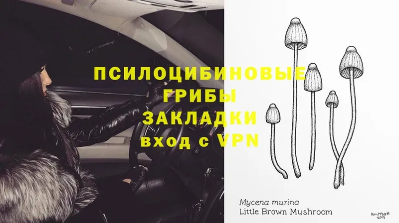 Галлюциногенные грибы Magic Shrooms  Кировград 